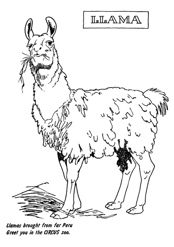 Llama From Peru Coloring Page