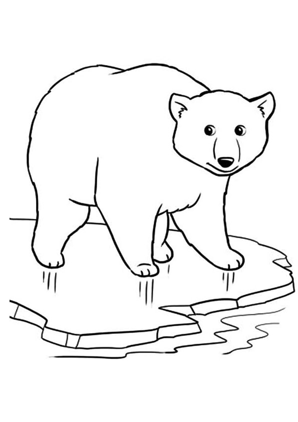Polar Bear In Norway Coloring Page