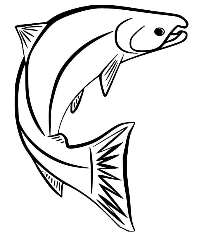 Salmon In Norway Coloring Page