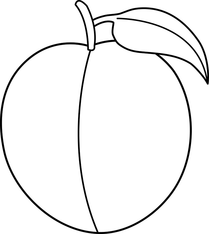 Third Largest Exporter Of Canned Fruits South Africa Coloring Page
