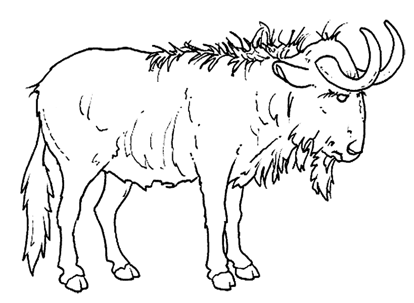 Wildebeest Coloring Page