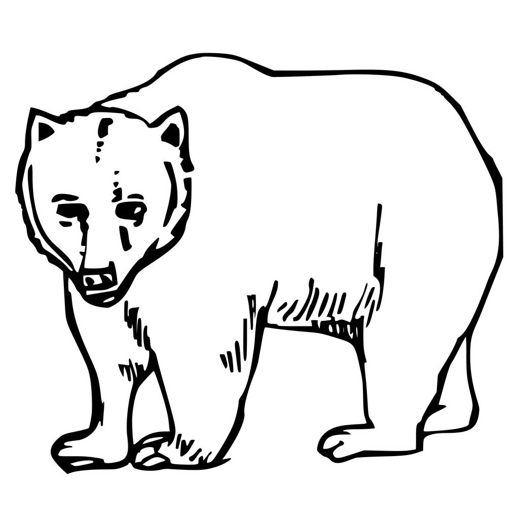 Brown Bear National Animal Finland Coloring Page