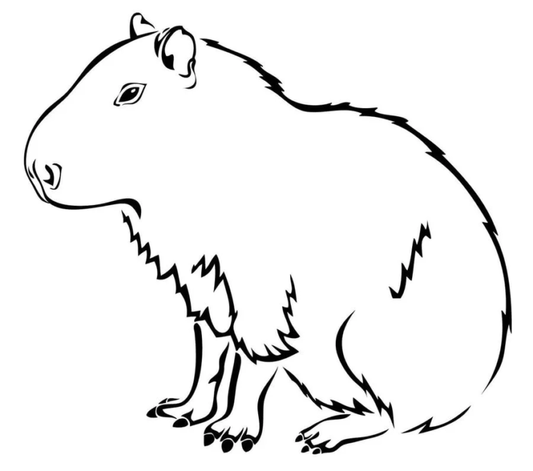 Capybara In Venezuela Coloring Page