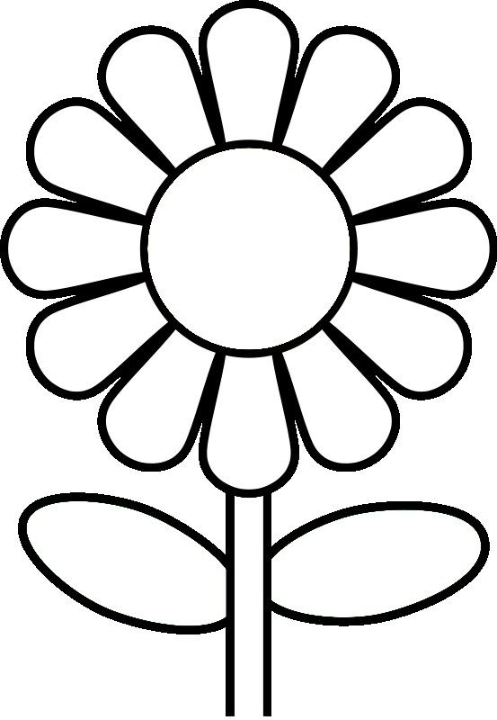 Daisy National Flower Of Netherlands Coloring Page