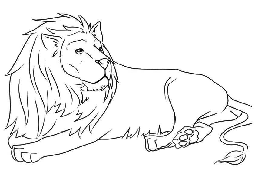 Barbary Lion National Animal Of Morocco Coloring Page
