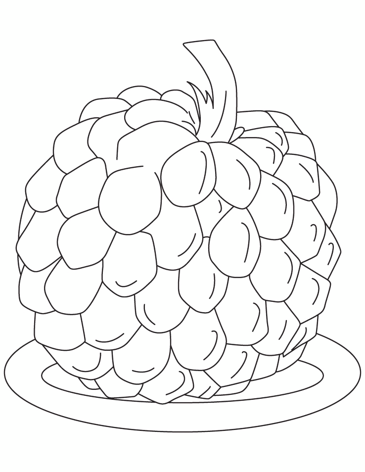 Cherimoya Fruit From Ecuador Coloring Page