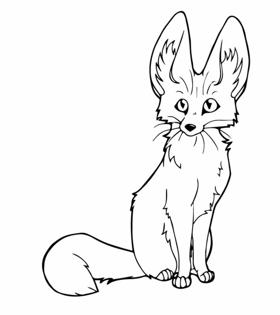 Fennec Fox National Animal Of Algeria Coloring Page