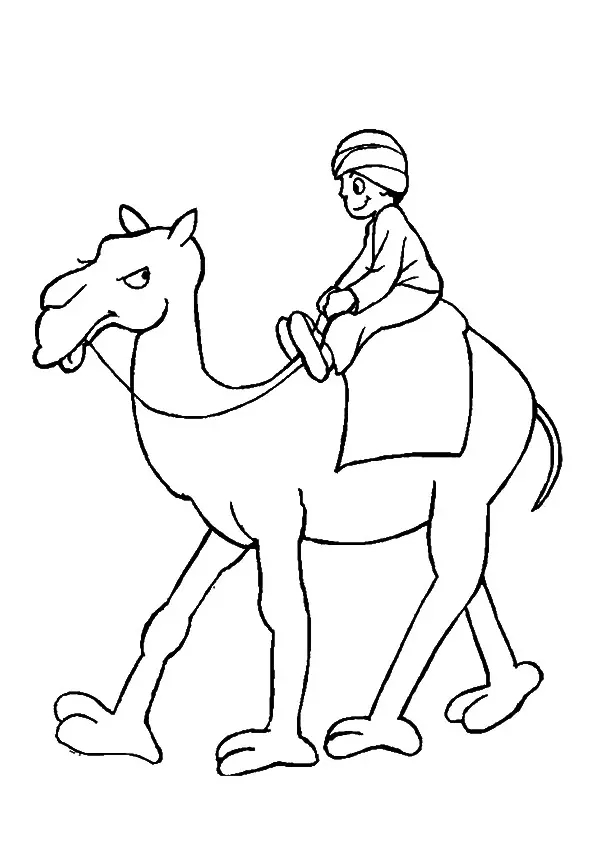Riding Camel In Morocco Coloring Page
