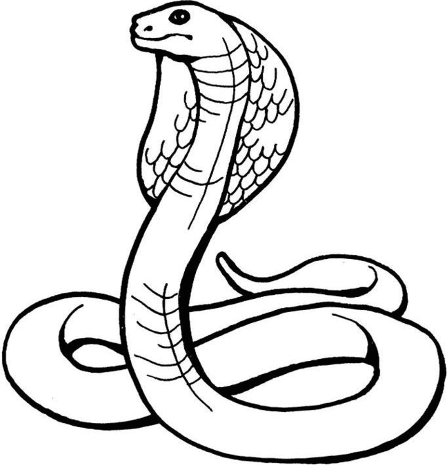 Snake Charming In Morocco Coloring Page
