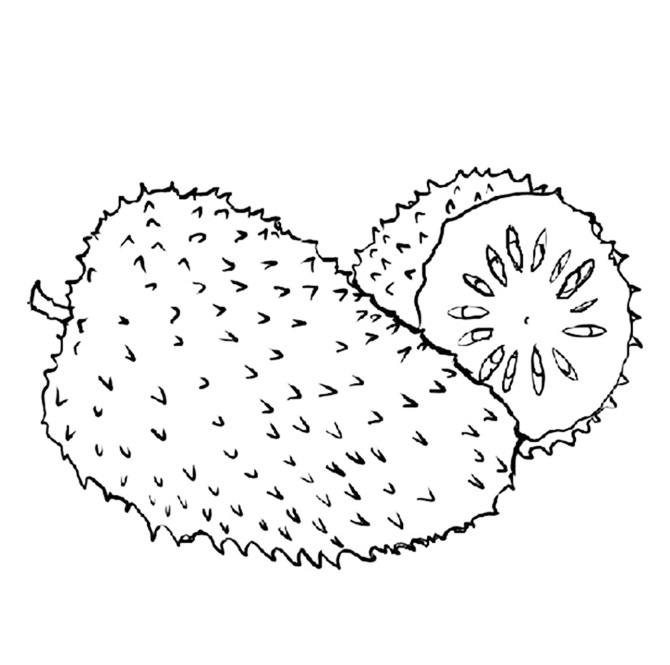 Soursop National Fruit Of Ecuador Coloring Page