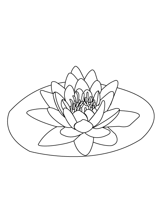 Helvola Waterlily National Flowe Of Congo Coloring Pagesr