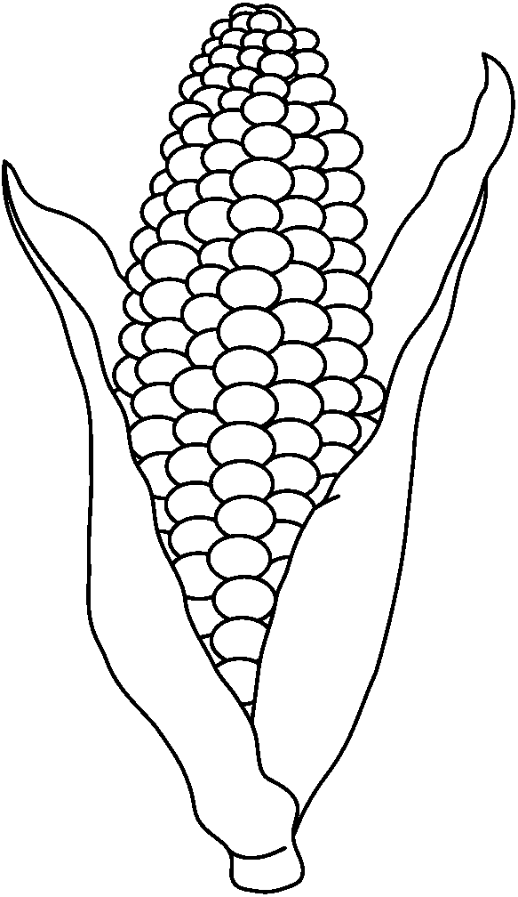Maize From Guatemala Coloring Page