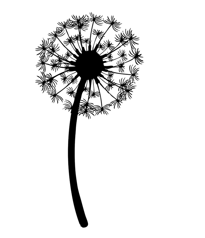 Dandelion Line Art