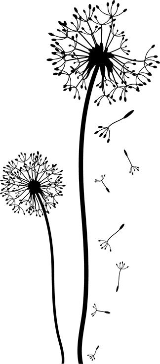 Dandelion Petals Coloring Page