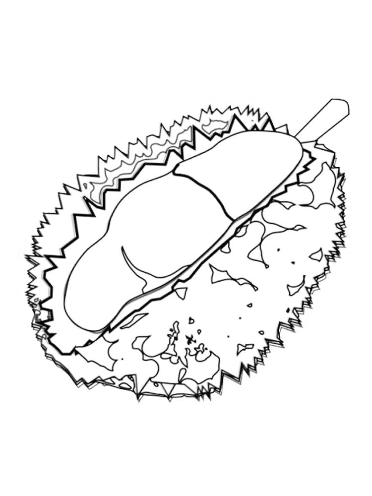 Durian National Fruit Of Indonesia Coloring Page