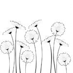 Pretty Dandelion Artwork To Color