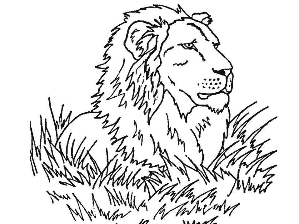 Lion National Animal Of Cameroon Coloring Page