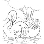 Mother Swan Welcomes Baby Coloring Page