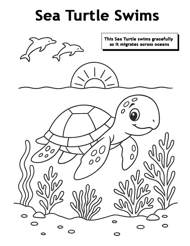 07 Sea Turtle Swims Coloring Page