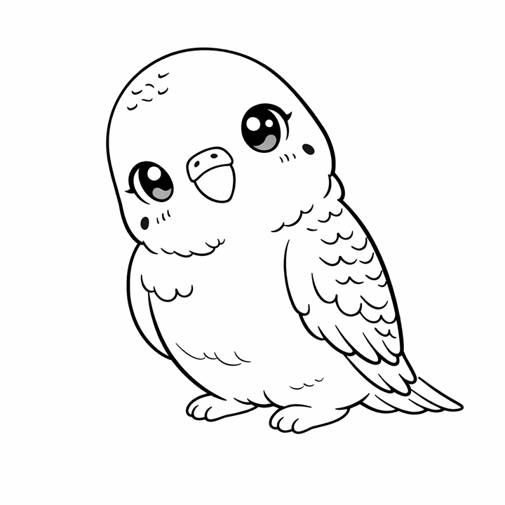 Parakeet Coloring Page